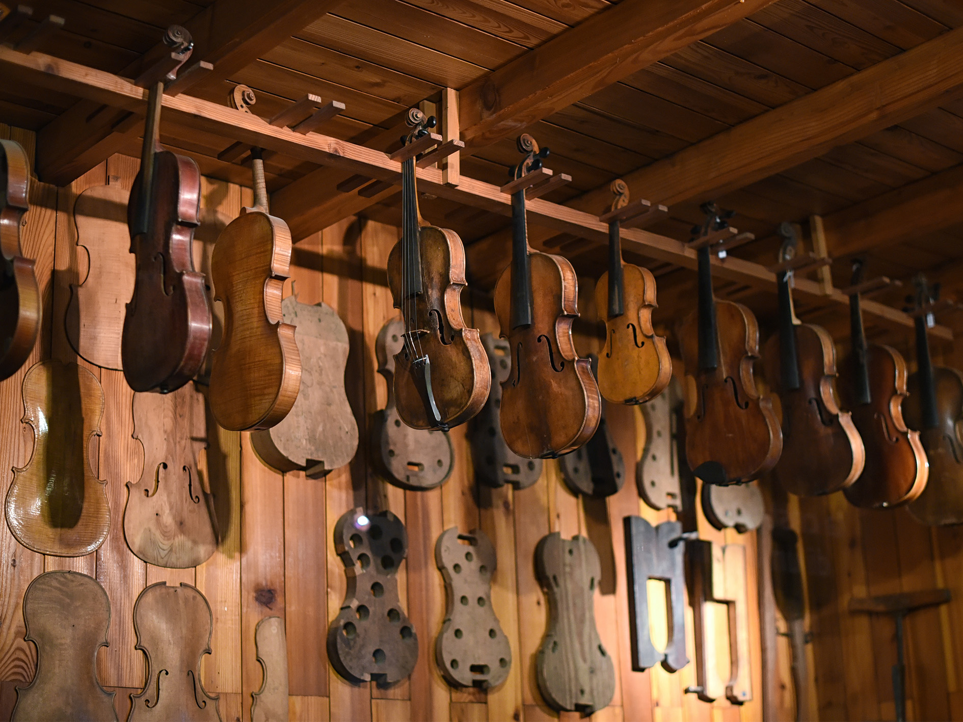 Violin workshop picture.